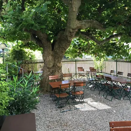 Hotel Loewen Tosters
