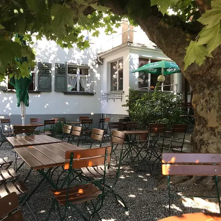 Löwen Tosters * Feldkirch