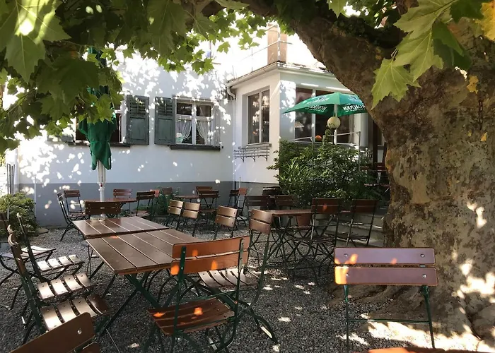 Loewen Tosters * Feldkirch